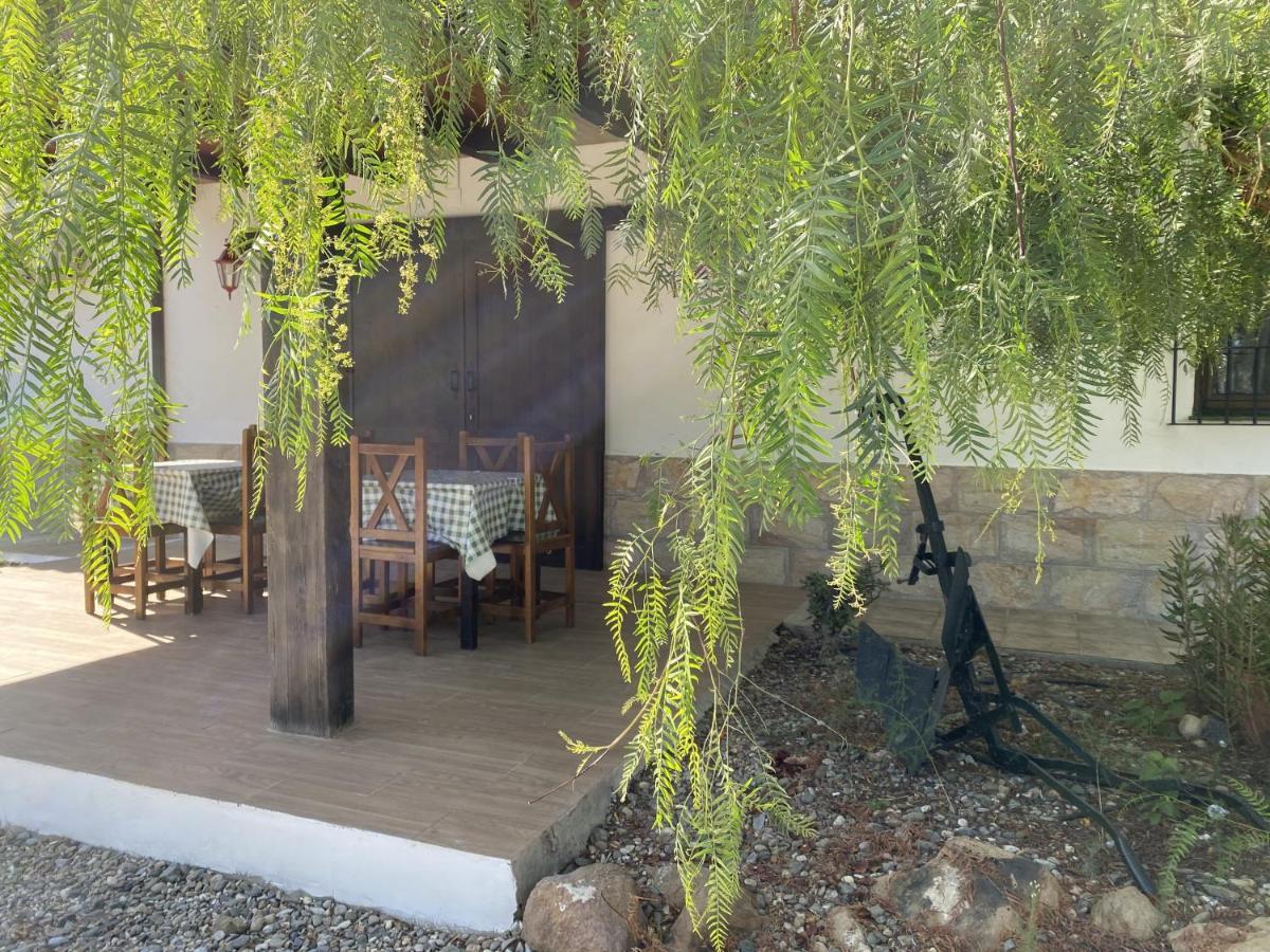 Palmeras Holiday home *